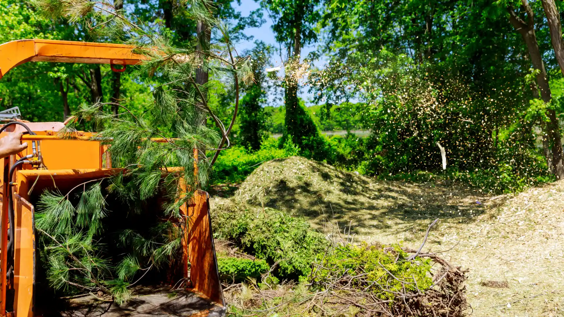 Home Forestry Mulching