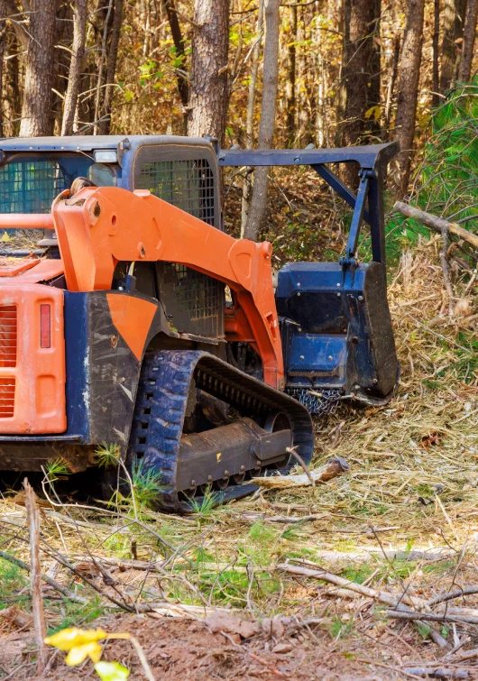 ongoing land clearance
